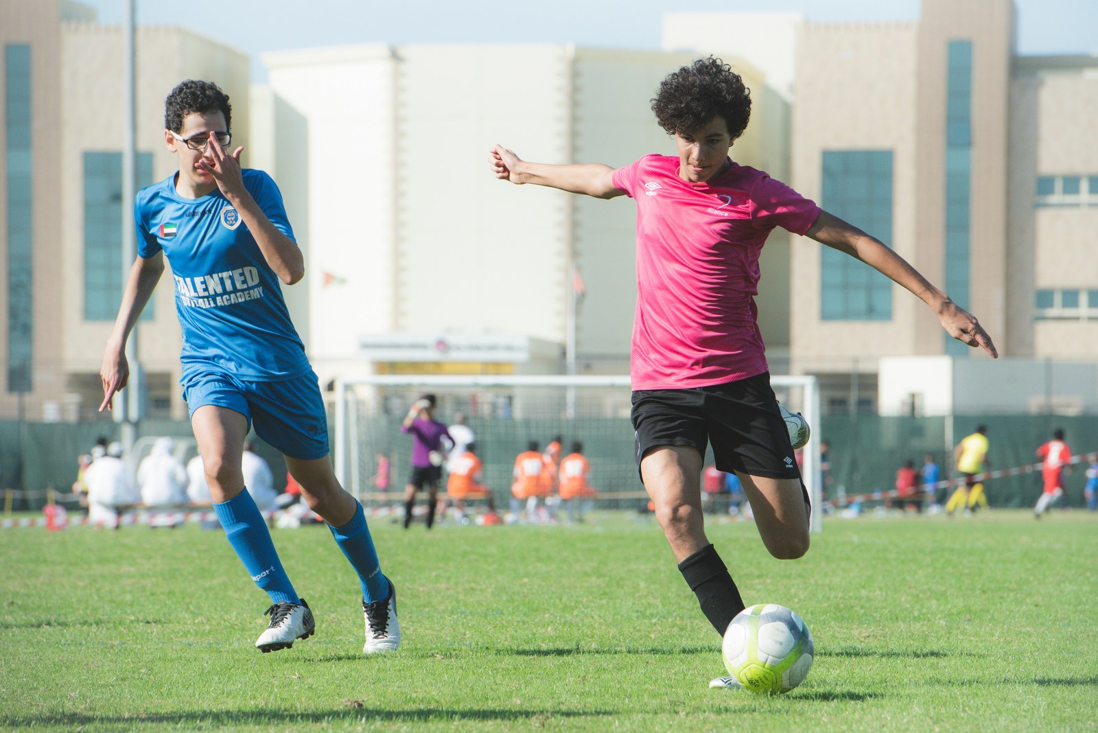 多赛种资讯与列表浏览